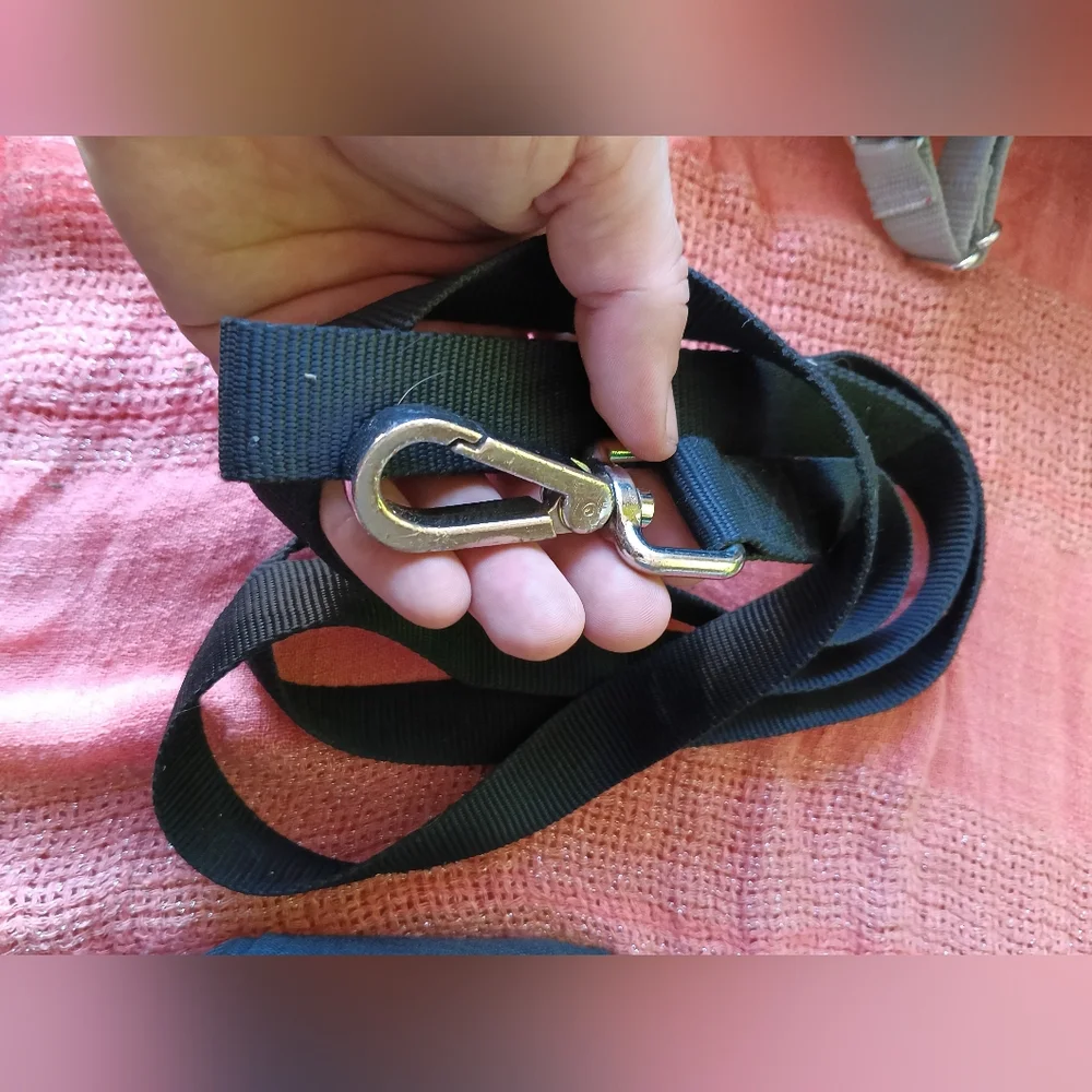 Black Dog Leash